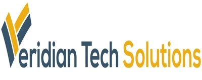 VERIDIAN TECHSOLUTIONS PRIVATE LIMITED logo