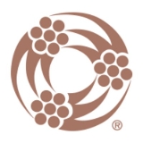 Southwire Company LLC logo