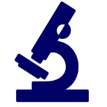 questions and answers about doctors pathology services indeed jobs resume