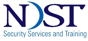 NDST LTD logo