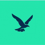 Derringo logo