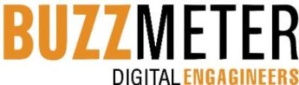 Buzzmeter Digital Engagineers pvt ltd logo