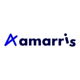 Amarris groupe logo
