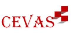 Cevas Language Center Careers And Employment Indeed