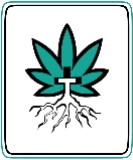 TrustTree logo