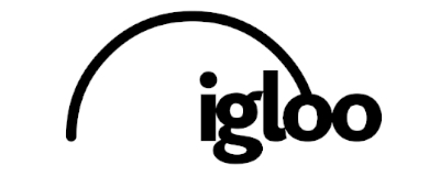 Igloo Vision logo