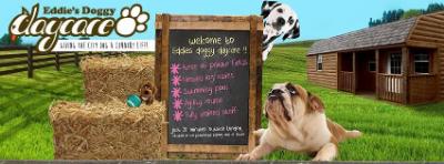 Eddies doggy hot sale daycare