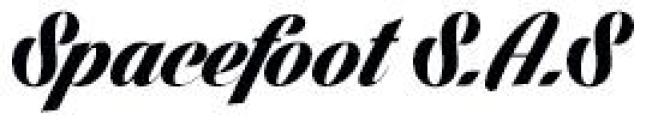 Spacefoot Sas logo