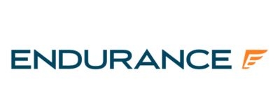 Endurance Warranty Services logo