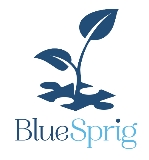 BlueSprig logo