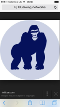 Bluekong networks logo