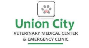 Veterinary Assistant Jobs Employment In Georgia Indeed Com