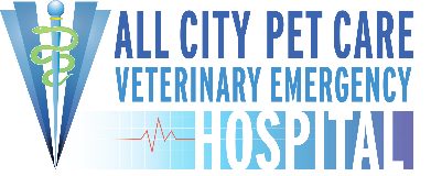 all city pet care south