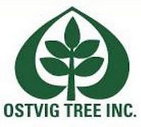 Ostvig Tree logo