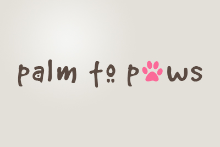 Palm to Paws