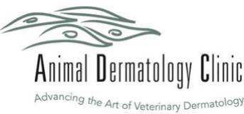 Animal dermatology clinic near hot sale me