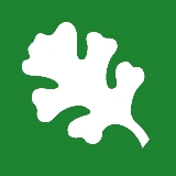 avatar-image