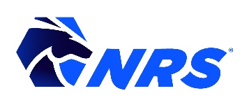 National Retail Transportation/Keystone Freight logo