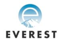 Everest Toys logo