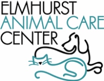 Elmhurst 2024 animal emergency