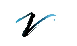 VISION Advisory & Analytics