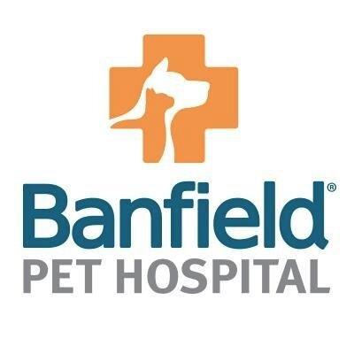 Working At Banfield Pet Hospital In Myrtle Beach Sc