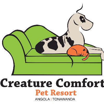 Working As A Pet Sitter At Creature Comforts Pet Resort Employee