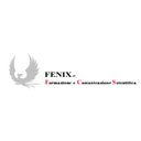 Fenix srl company logo