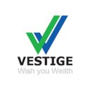 VESTIGE company logo