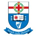 Tallaght University Hospital company logo