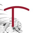 Terideal company logo
