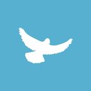 Skylark Counselling Clinic company logo