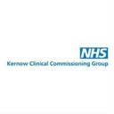 NHS Cornwall and Isles of Scilly Integrated Care Board (ICB) company logo
