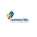 Numero Blu Servizi SpA company logo