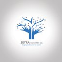 Seyra Asesores company logo