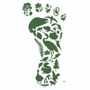 Mosaic Ecology company logo