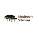 Mushroom Solutions company logo