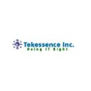Tekessence software solutions company logo