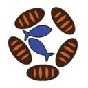 Mobile Loaves &amp; Fishes company logo