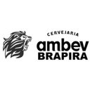 BRAPIRA company logo