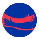 Visualise Scotland company logo