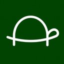 Little Turtles Playhouse company logo