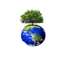 Holistic Behavioral Solutions company logo
