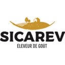 Sicarev company logo