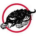 Terra Sonic International company logo