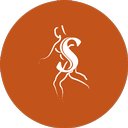 Rocky Mountain Spine and Sport company logo