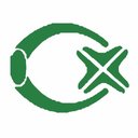 CareerXperts Consulting company logo