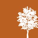 Cottonwood Residential company logo