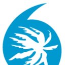 Dillard Gulf Coast company logo