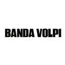 Savio Volpe company logo